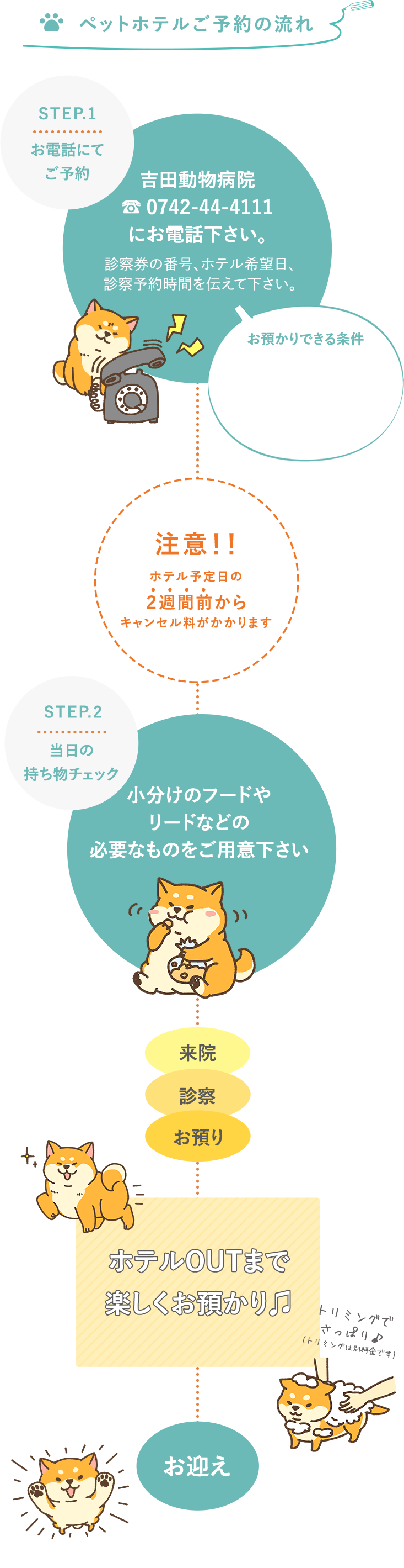 ホテル 吉田動物病院