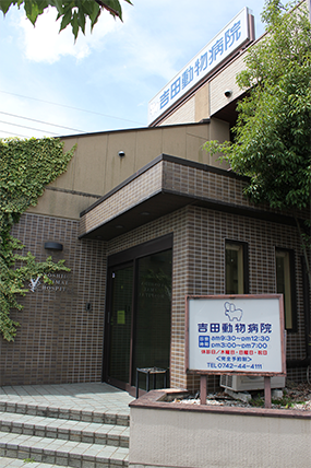 吉田動物病院